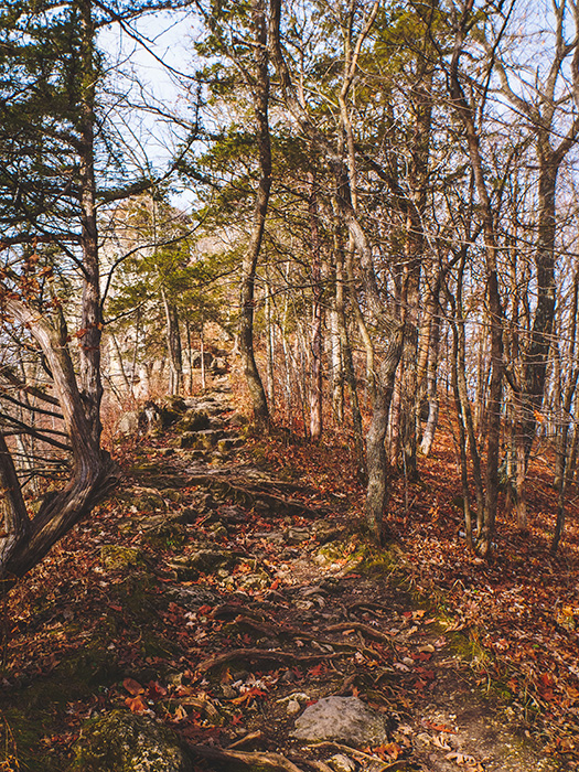 Whitewater State Park