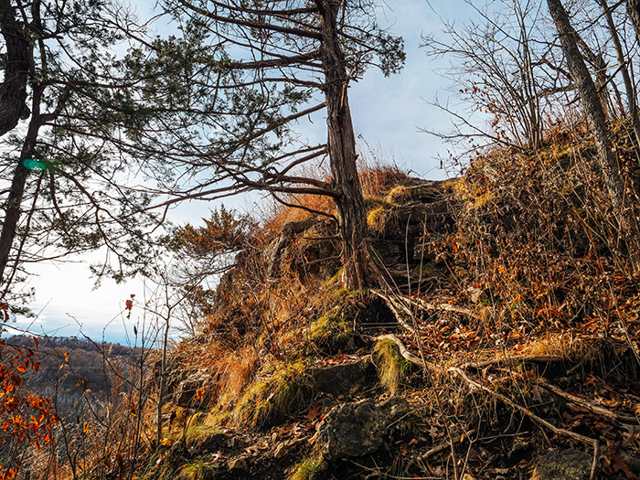 Whitewater State Park