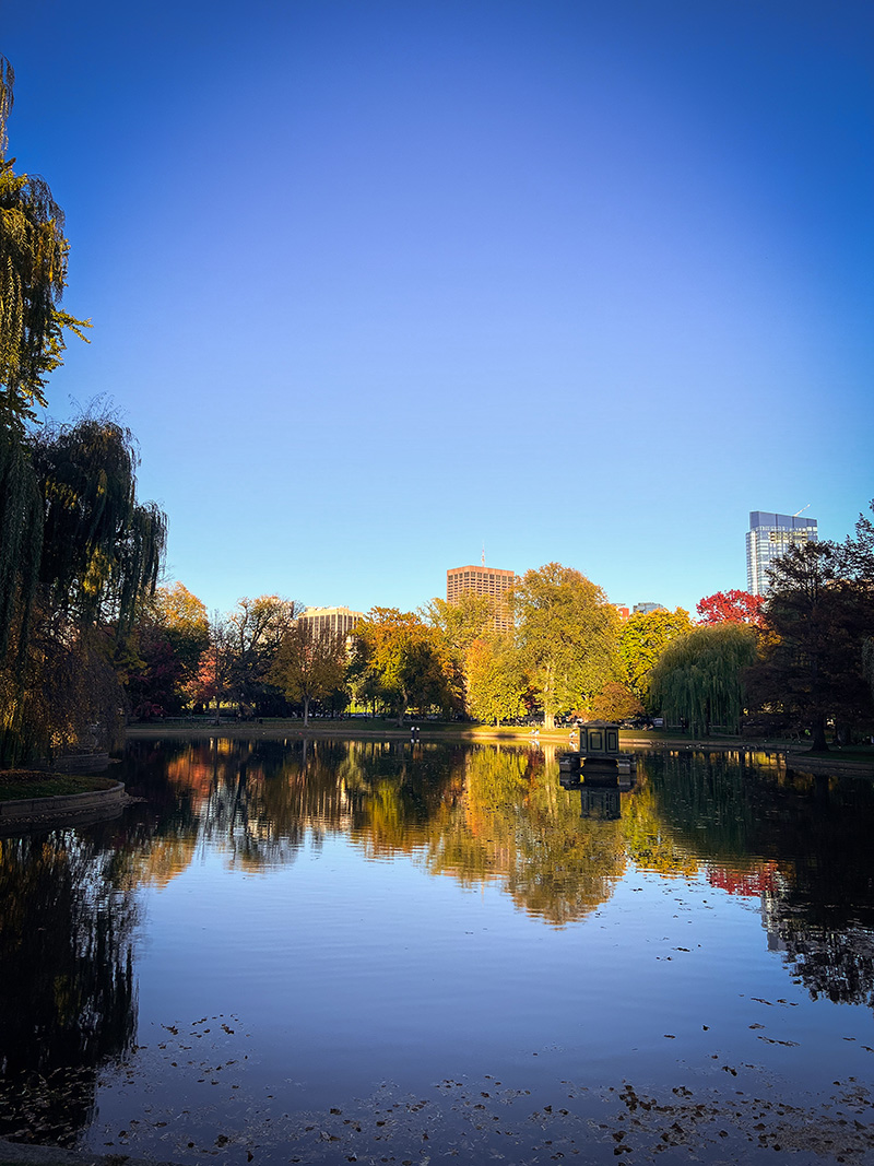 Boston Common